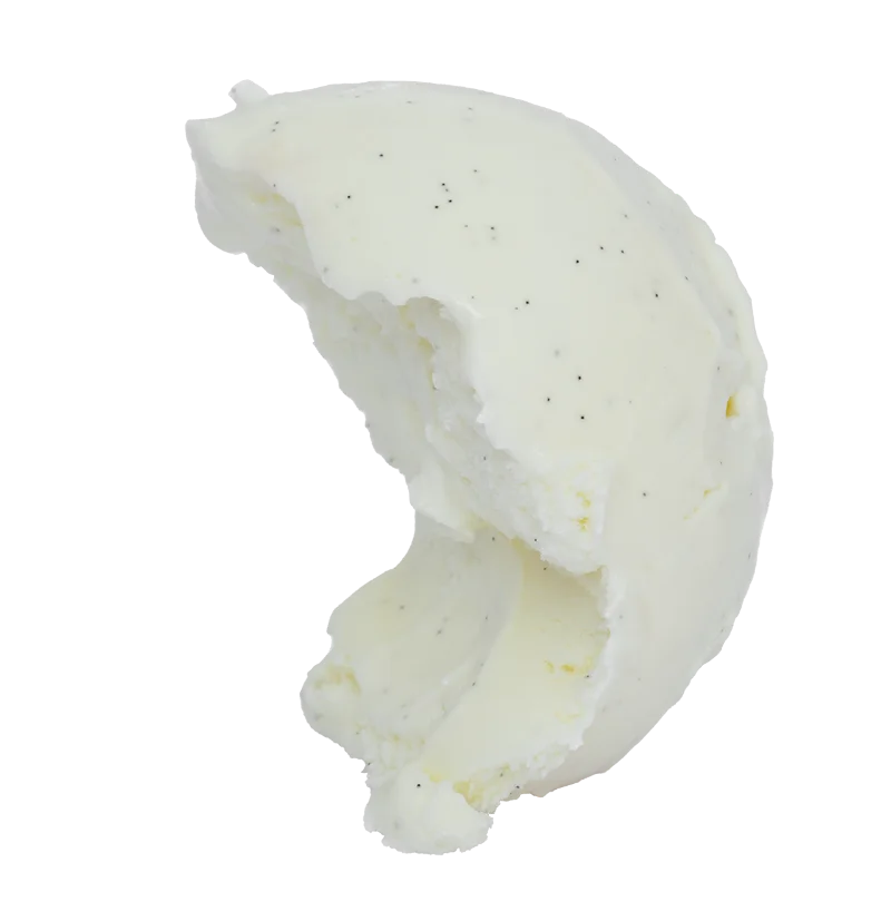 MADAGASCAR VANILLA