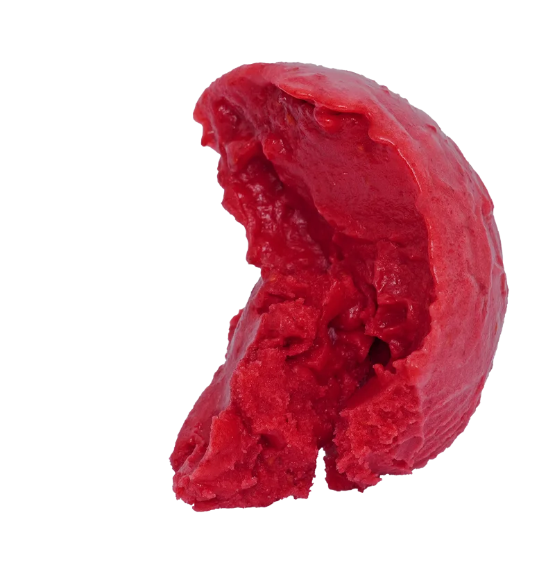 RASPBERRY SORBET